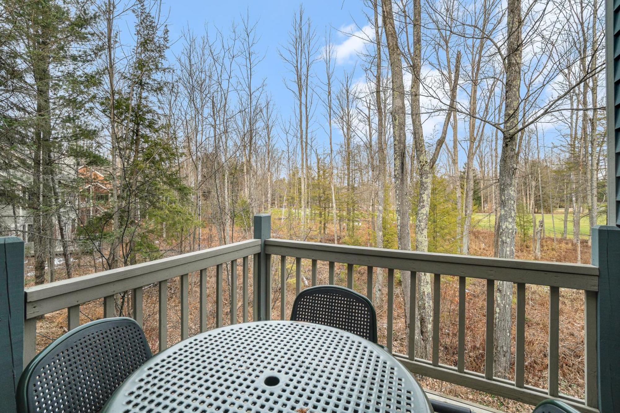 Wintergreen Condos Thompsonville 客房 照片